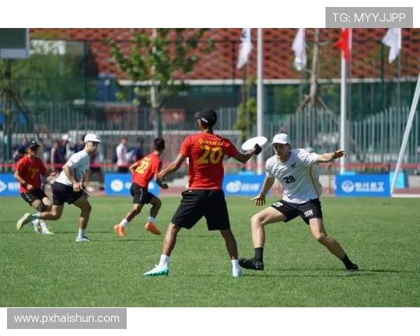 成都飞盘队的团队协作与飞盘运动的魅力探索